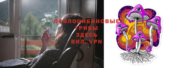 ПСИЛОЦИБИНОВЫЕ ГРИБЫ Козловка