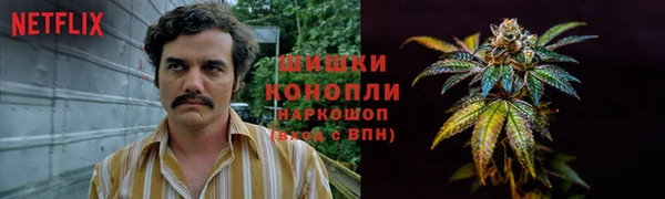 ПСИЛОЦИБИНОВЫЕ ГРИБЫ Козловка