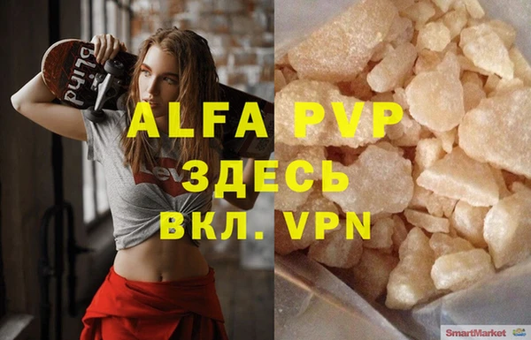 ПСИЛОЦИБИНОВЫЕ ГРИБЫ Козловка