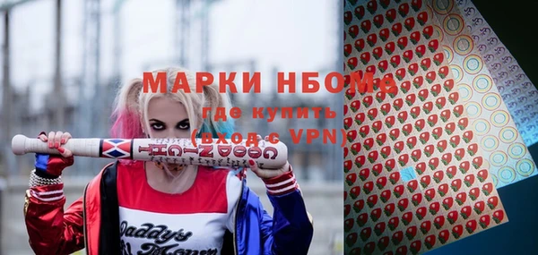 ПСИЛОЦИБИНОВЫЕ ГРИБЫ Козловка