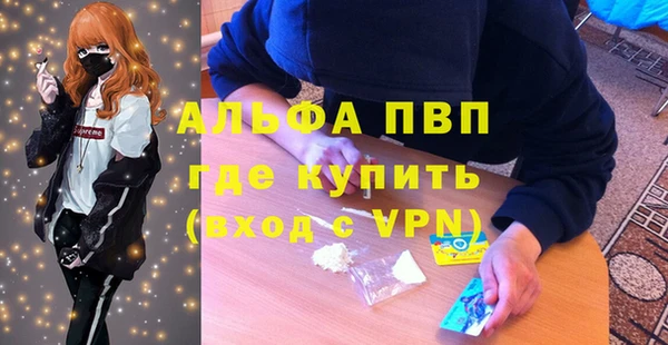 ПСИЛОЦИБИНОВЫЕ ГРИБЫ Козловка