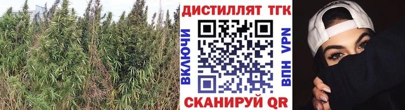 Купить где  Лабинск  Дистиллят ТГК концентрат 